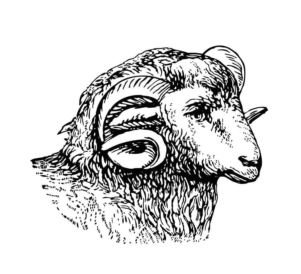 Mutton