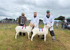 Whole Lamb Box: Wiltshire Horn Lamb